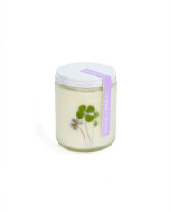 Scented Candle CARDAMON-BERGAMOT