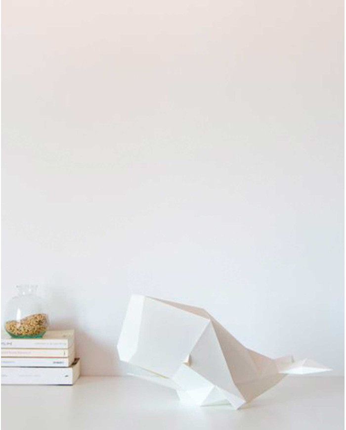 Paper lamp DIY set CACHALOT